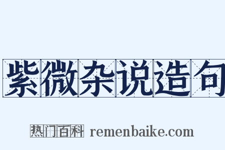 紫微杂说造句是什么意思的图片